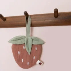 Pacifier cloth - Red - Fairy Garden