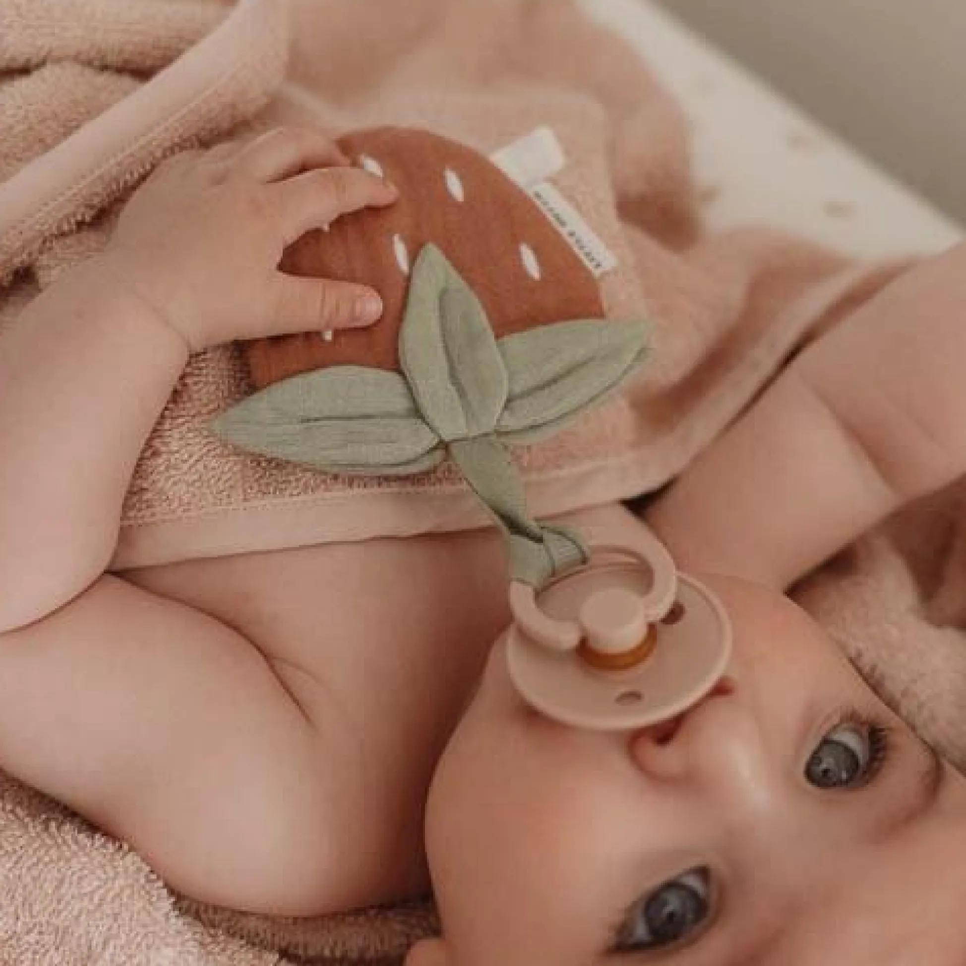 Pacifier cloth - Red - Fairy Garden