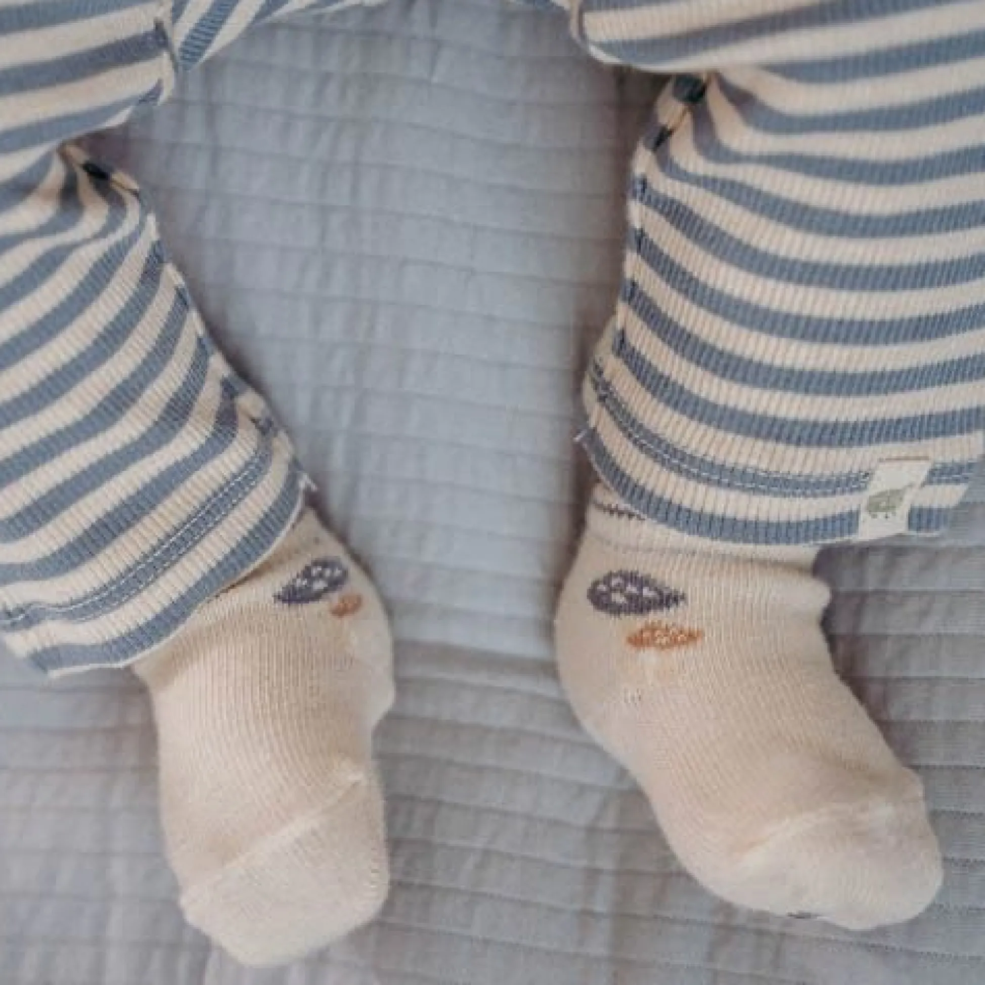 3-pack high socks - Multicolored - Forest Friends