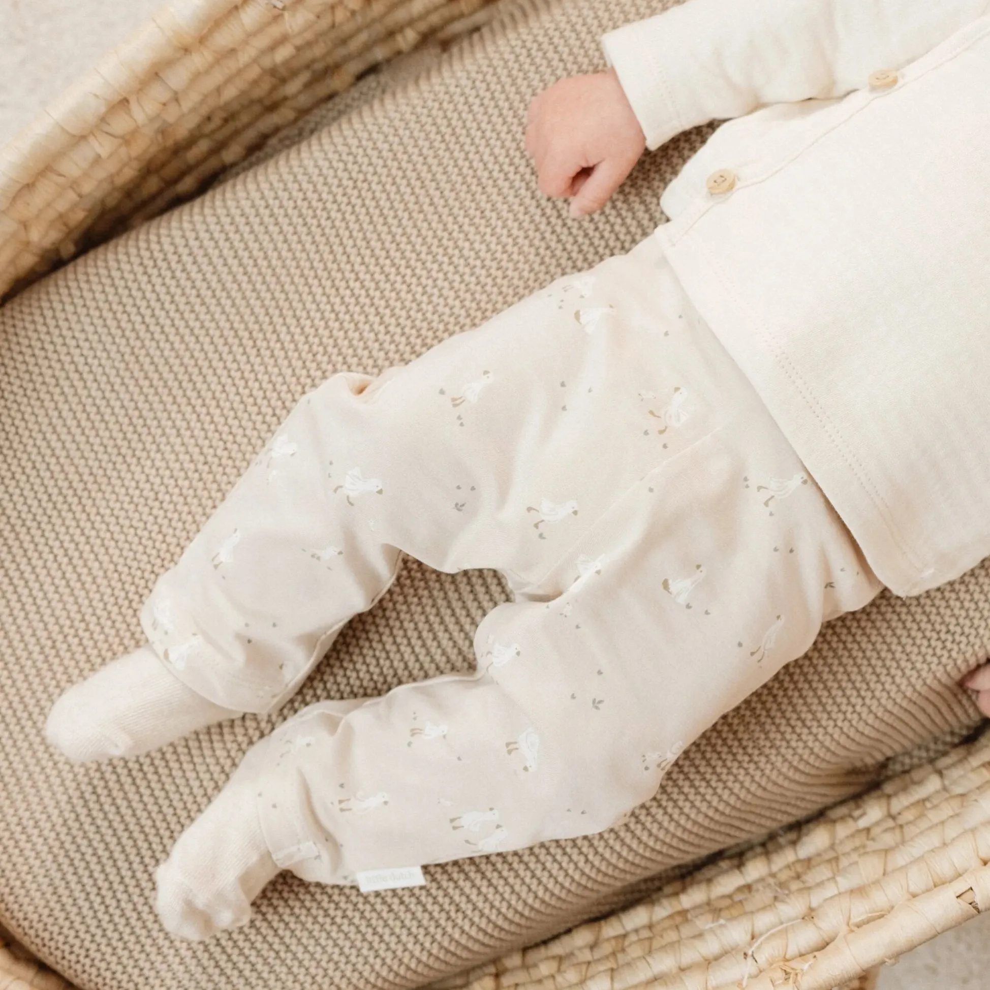 3-pack socks - Multicolored - Newborn Naturals - Little Goose