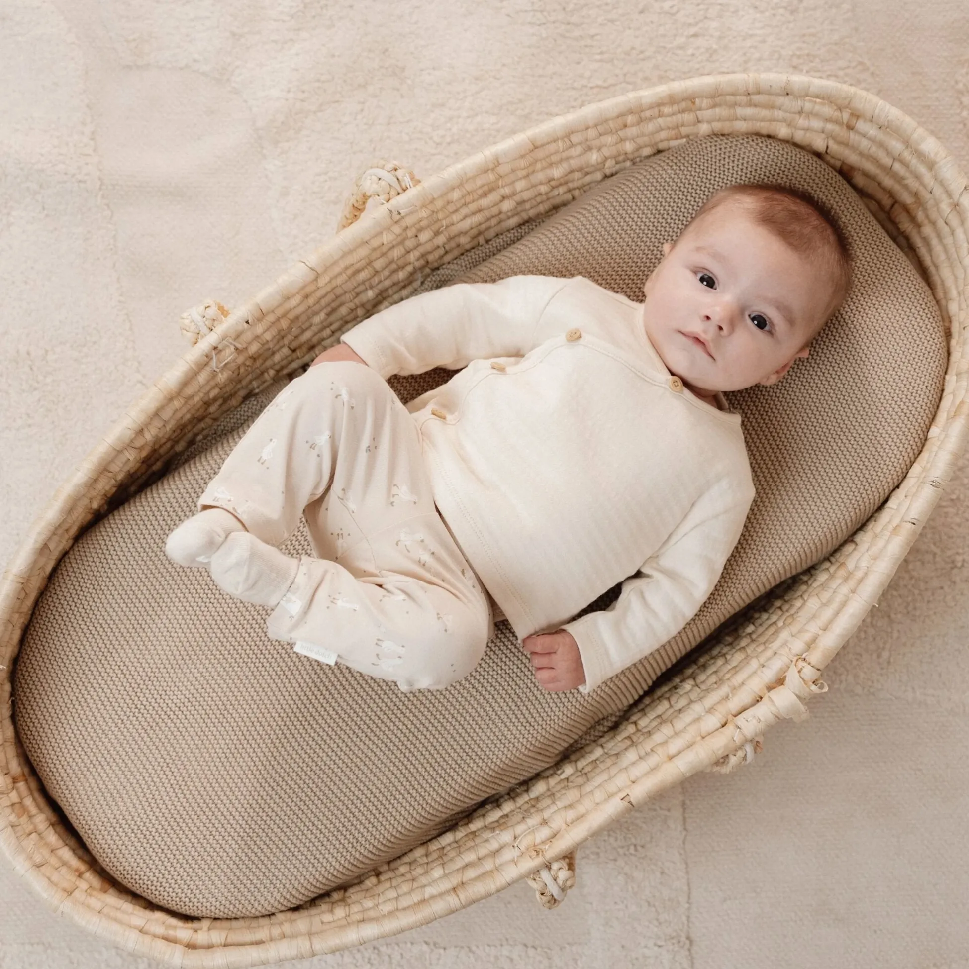 3-pack socks - Multicolored - Newborn Naturals - Little Goose