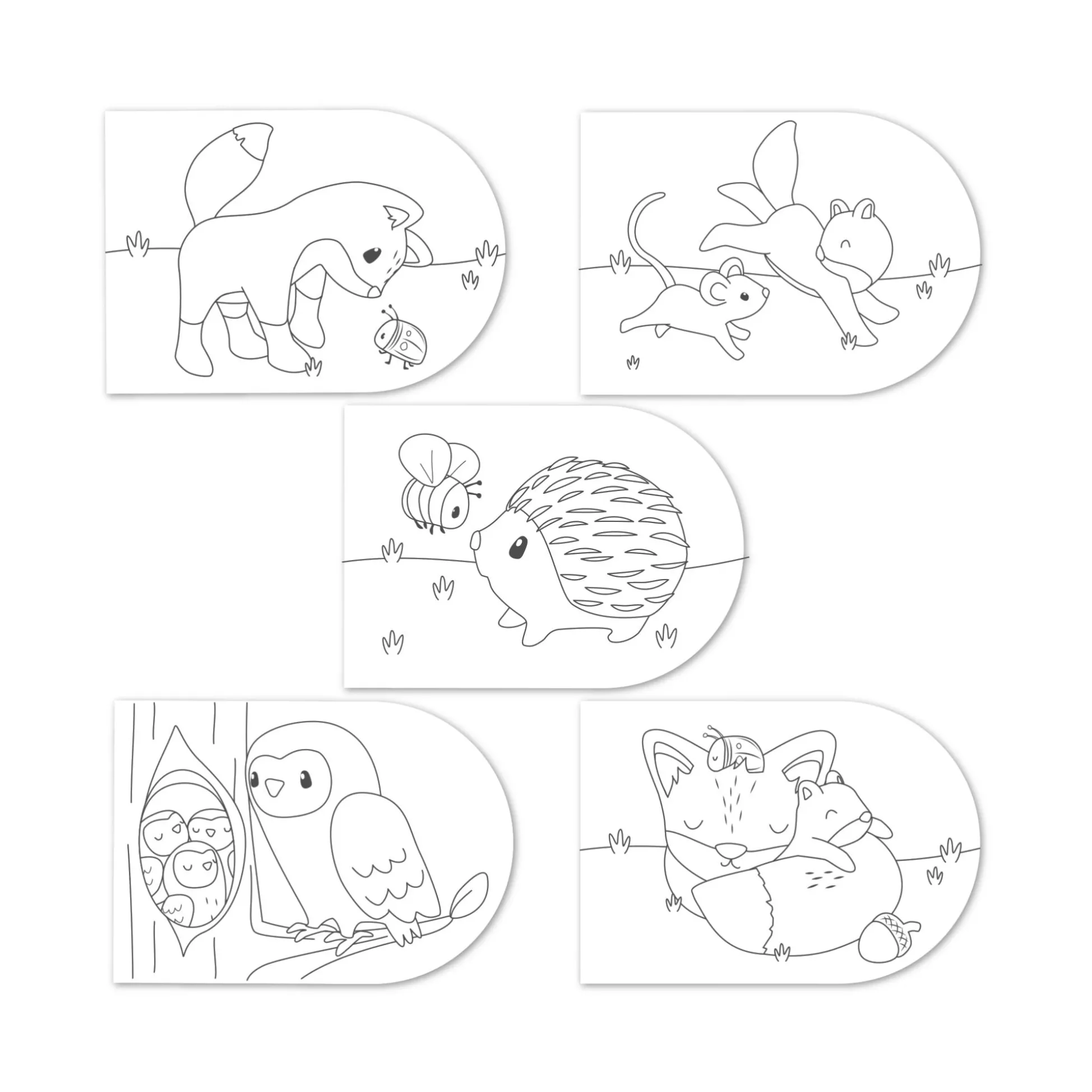 Paintbook Forest Friends