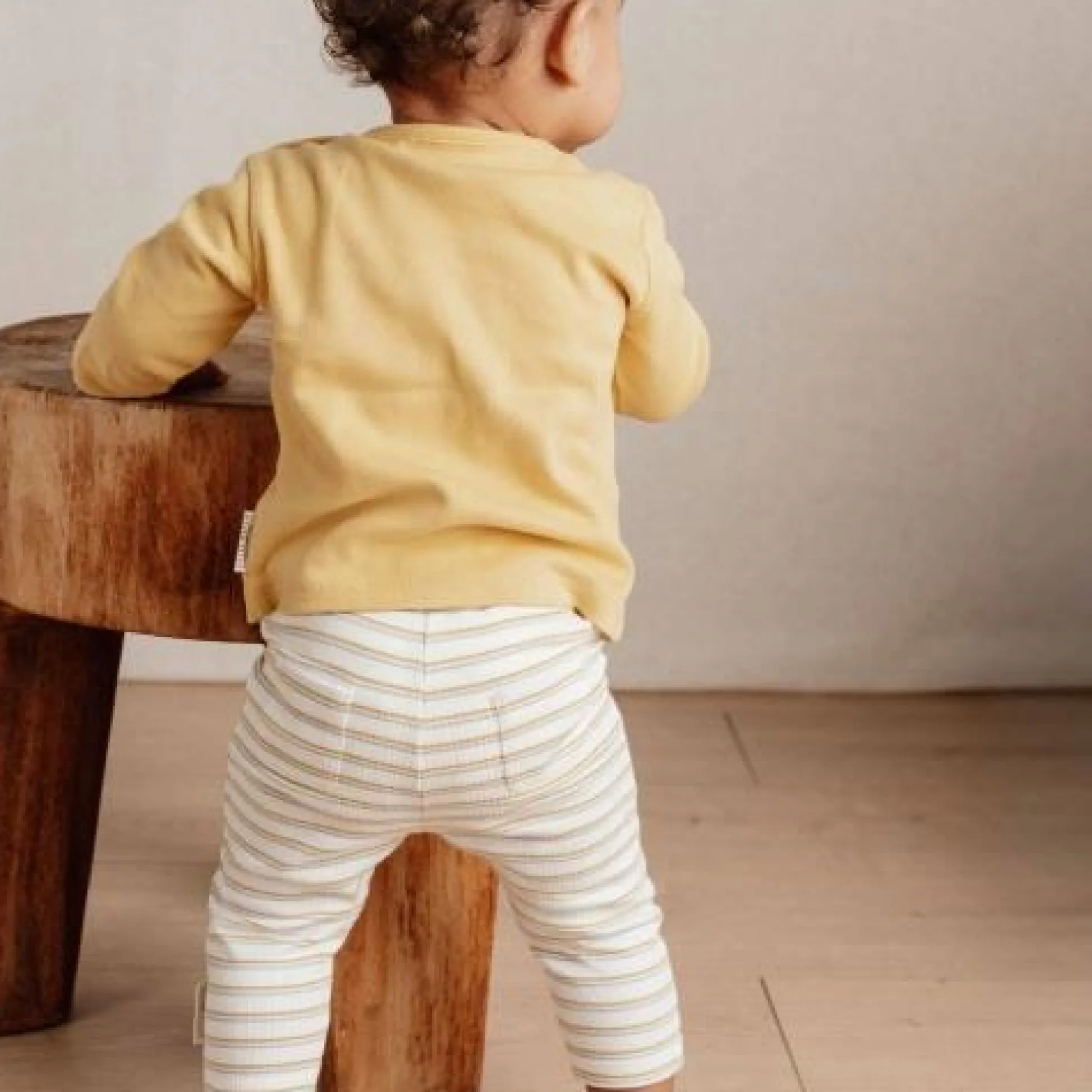 Pants - Multicolored - Little Farm - Stripe