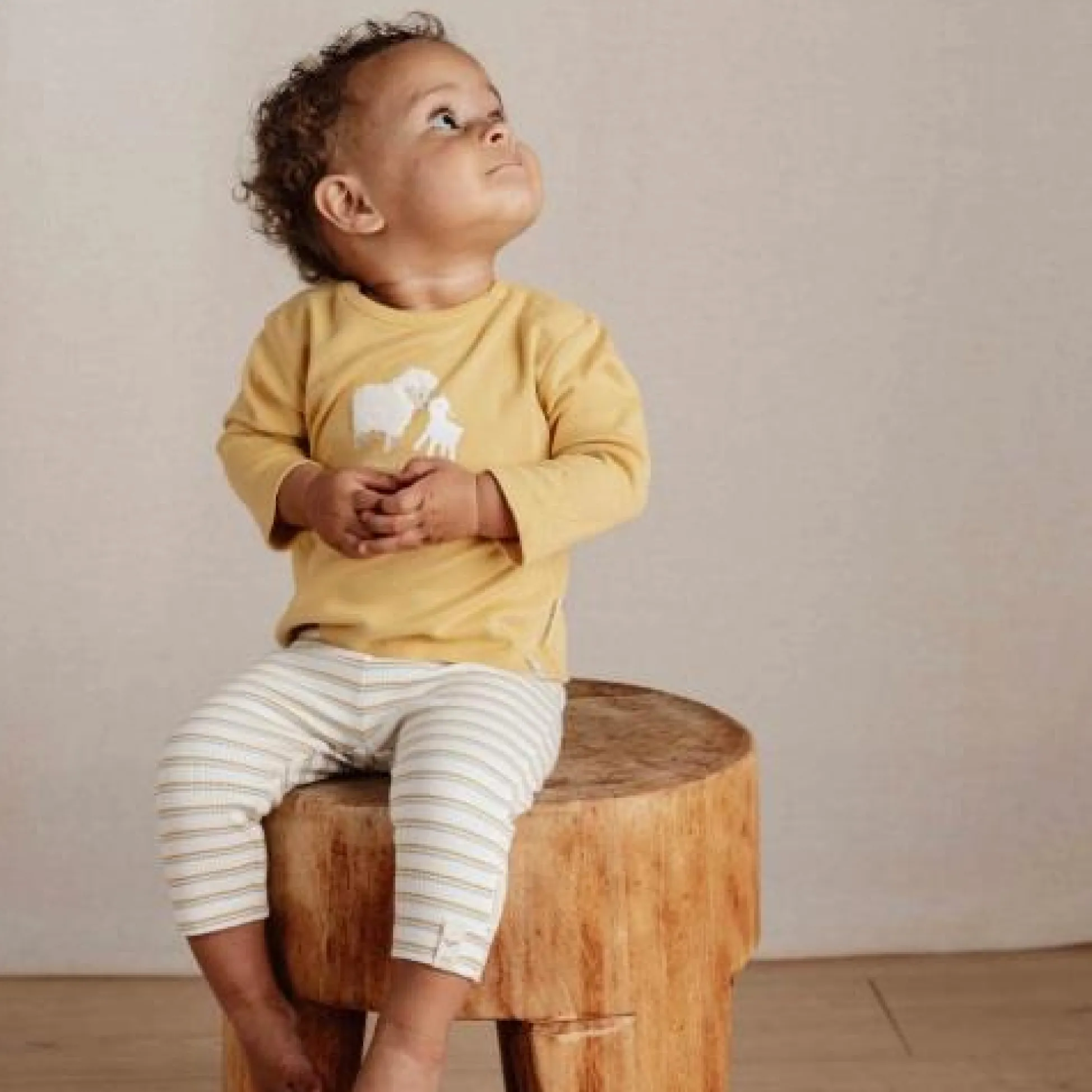 Pants - Multicolored - Little Farm - Stripe