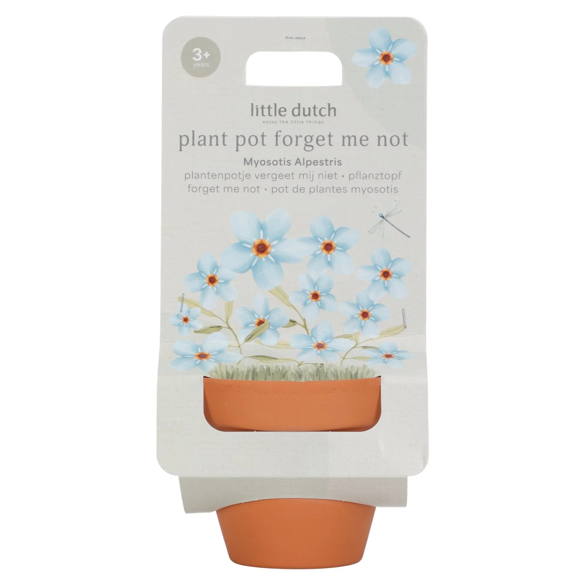 Plant Pot - Forget-me-not