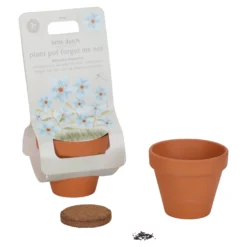 Plant Pot - Forget-me-not