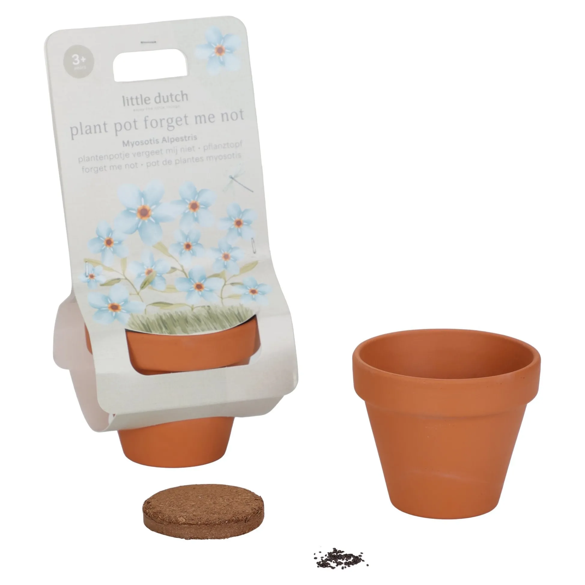 Plant Pot - Forget-me-not