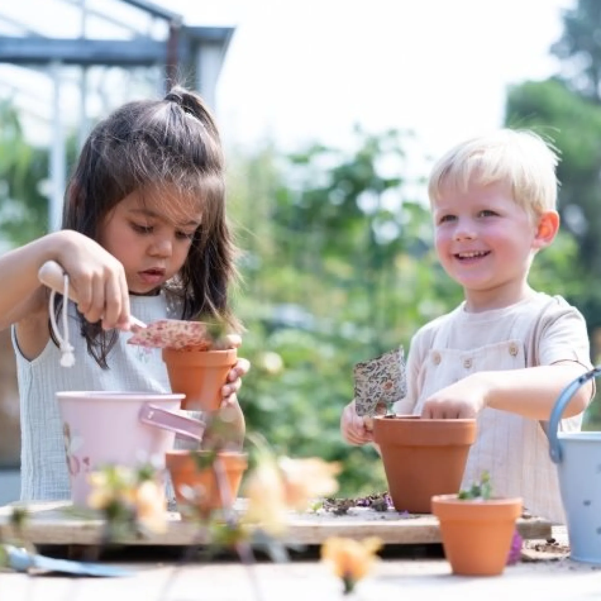 Plant Pot - Forget-me-not