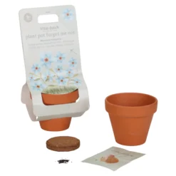 Plant Pot - Forget-me-not
