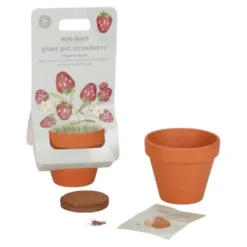 Plant pot - Strawberry