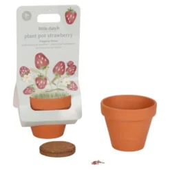 Plant pot - Strawberry