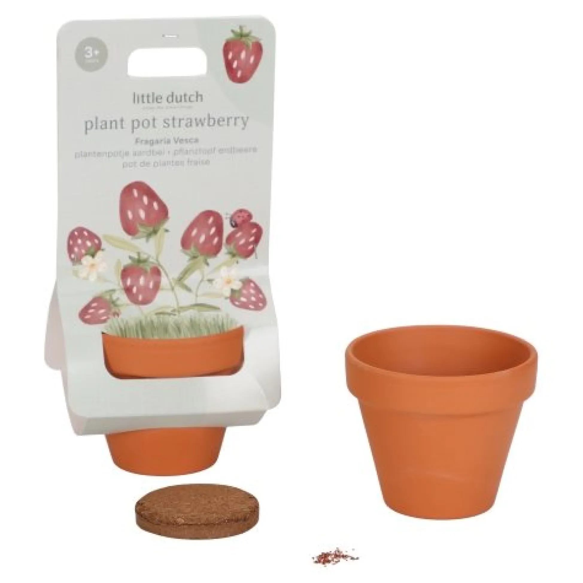 Plant pot - Strawberry