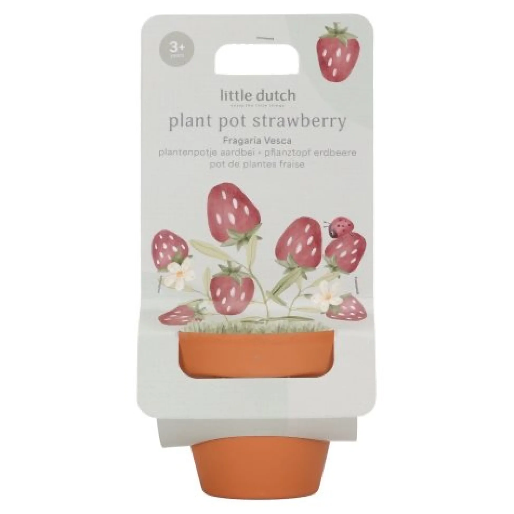 Plant pot - Strawberry