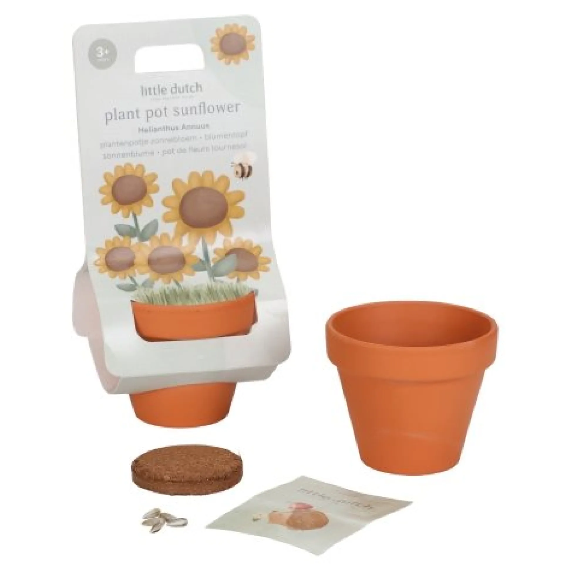 Plant pot - Sunflower