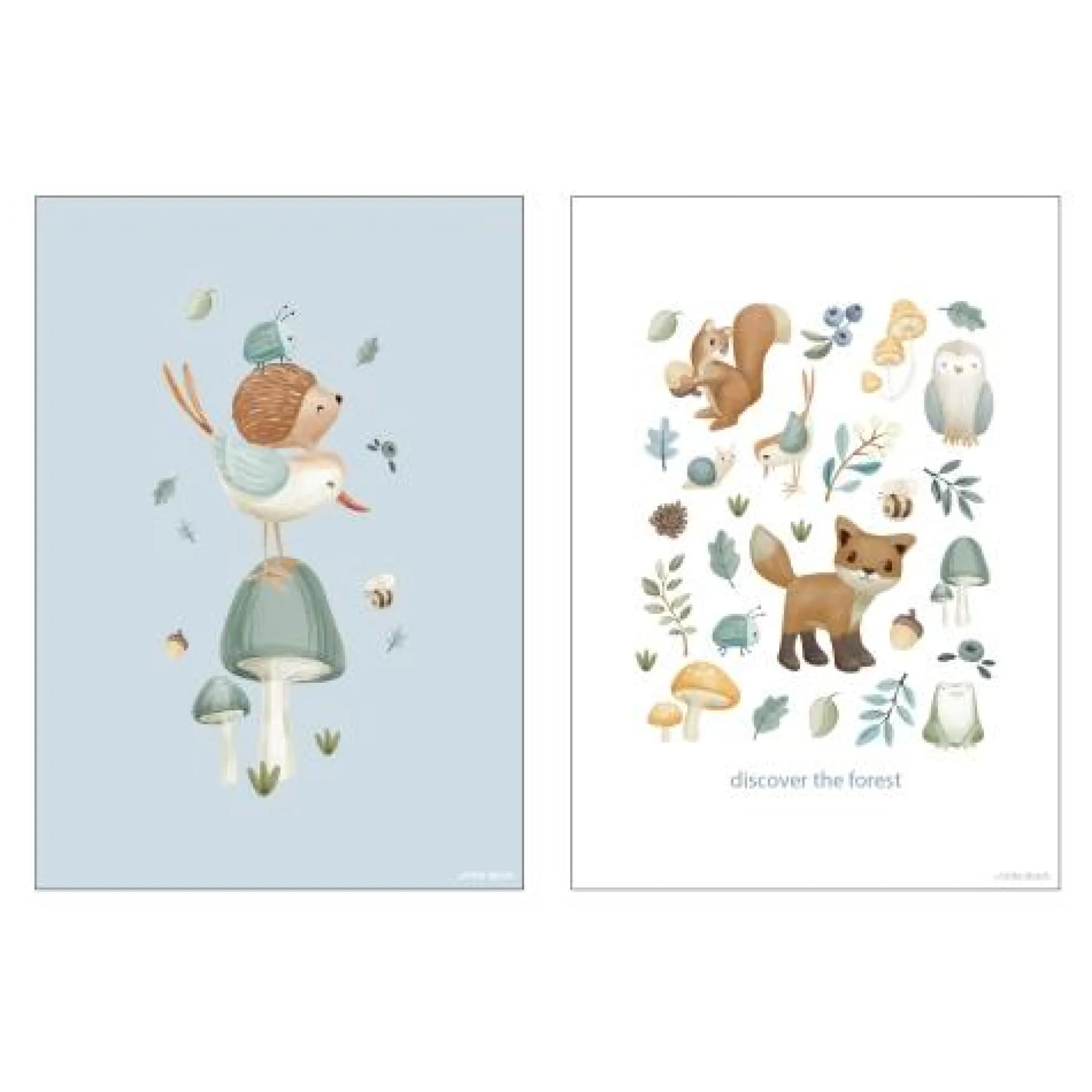 Poster - Size A3 - Forest Friends - Forest Wonders