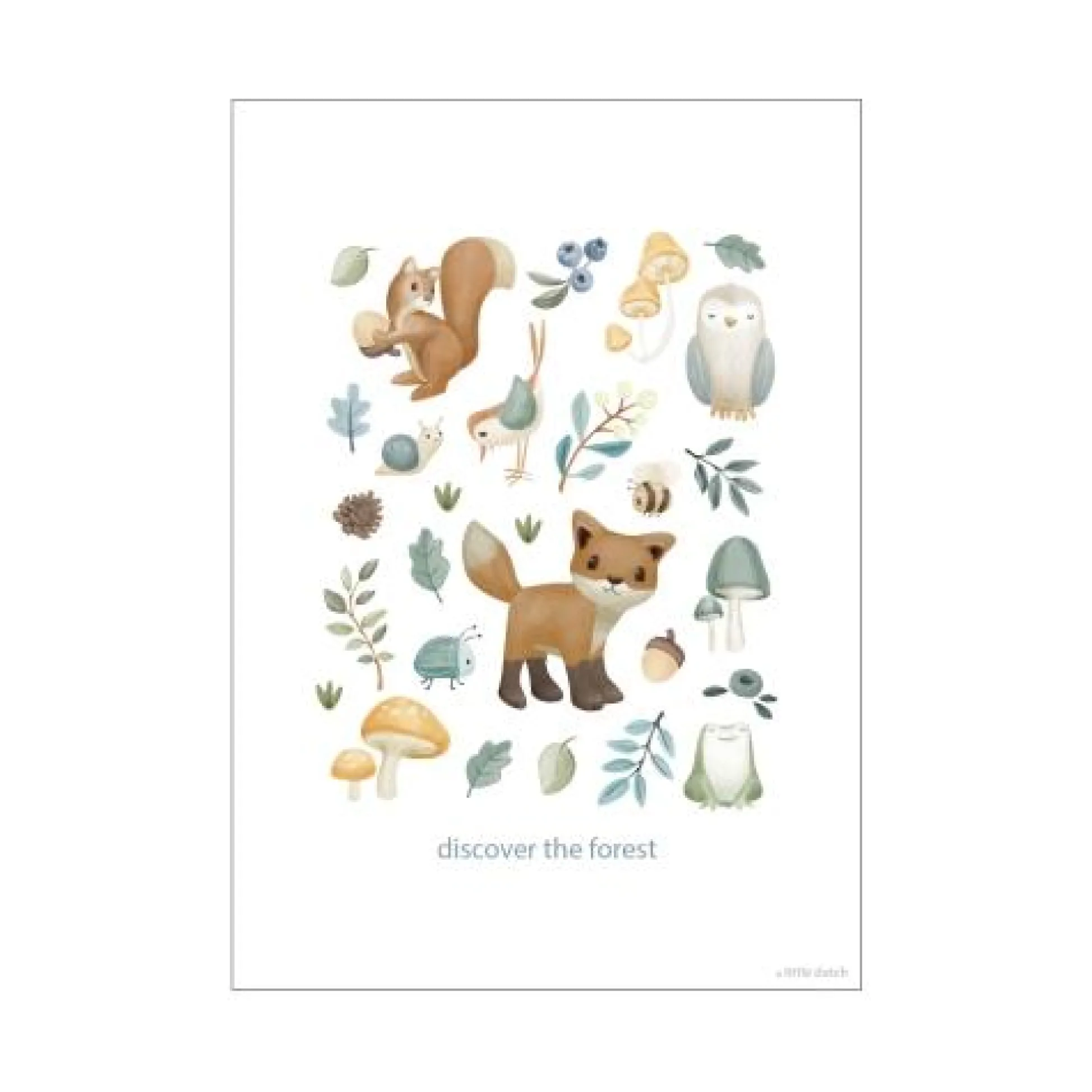 Poster - Size A3 - Forest Friends - Forest Wonders