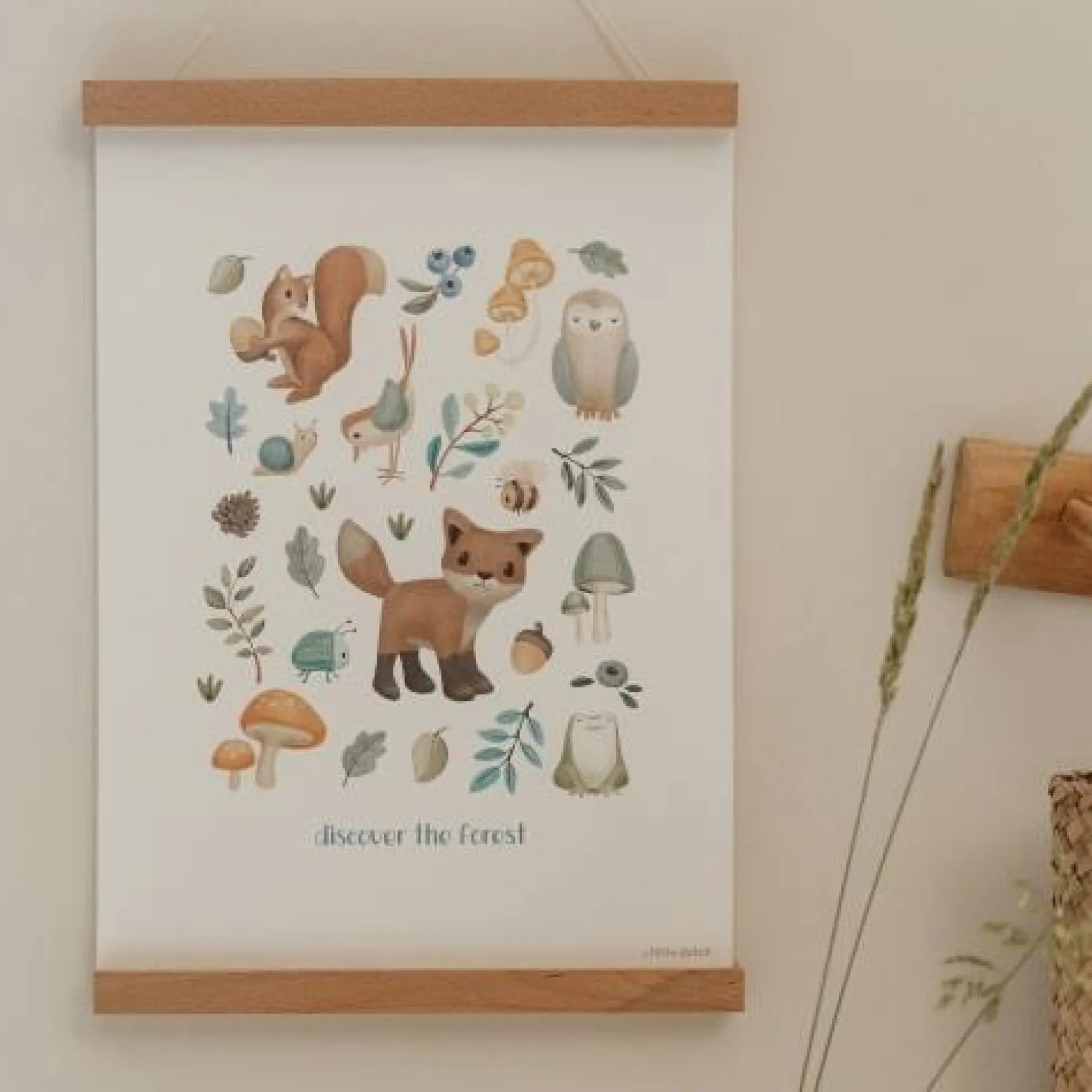 Poster - Size A3 - Forest Friends - Forest Wonders