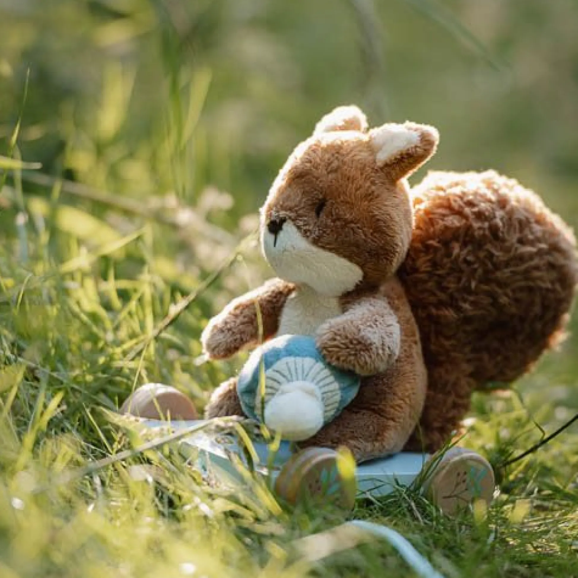 Pull Animal Squirrel - Blue - Forest Friends