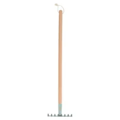 Rake Forest Friends