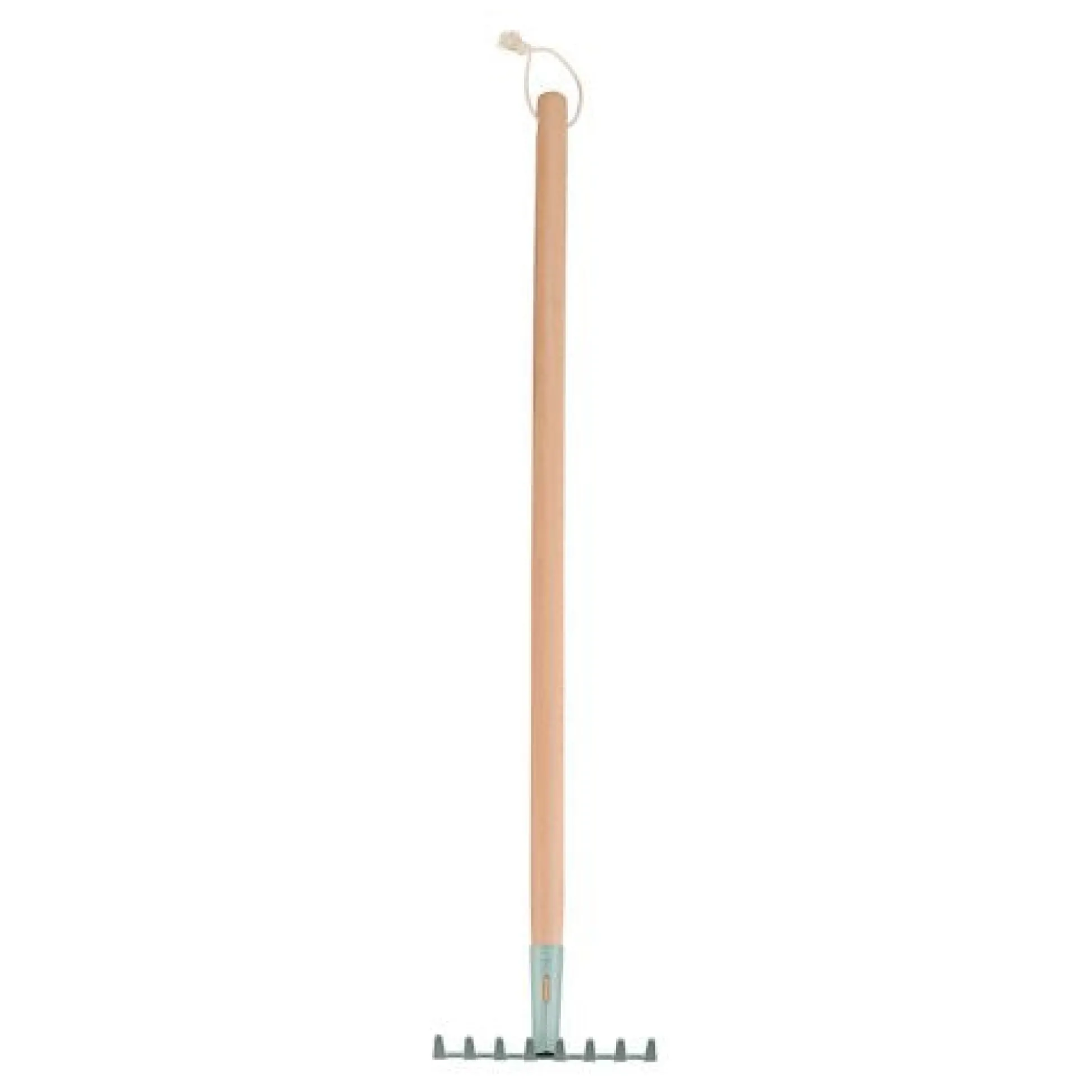 Rake Forest Friends