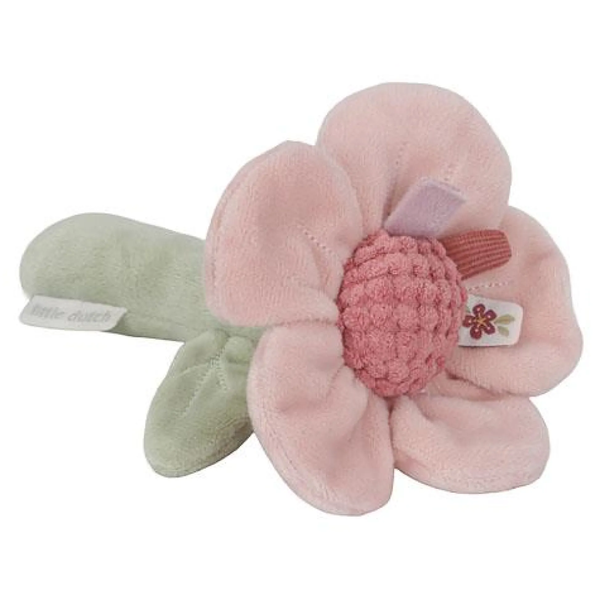 Rattle flower - Pink - Fairy Garden
