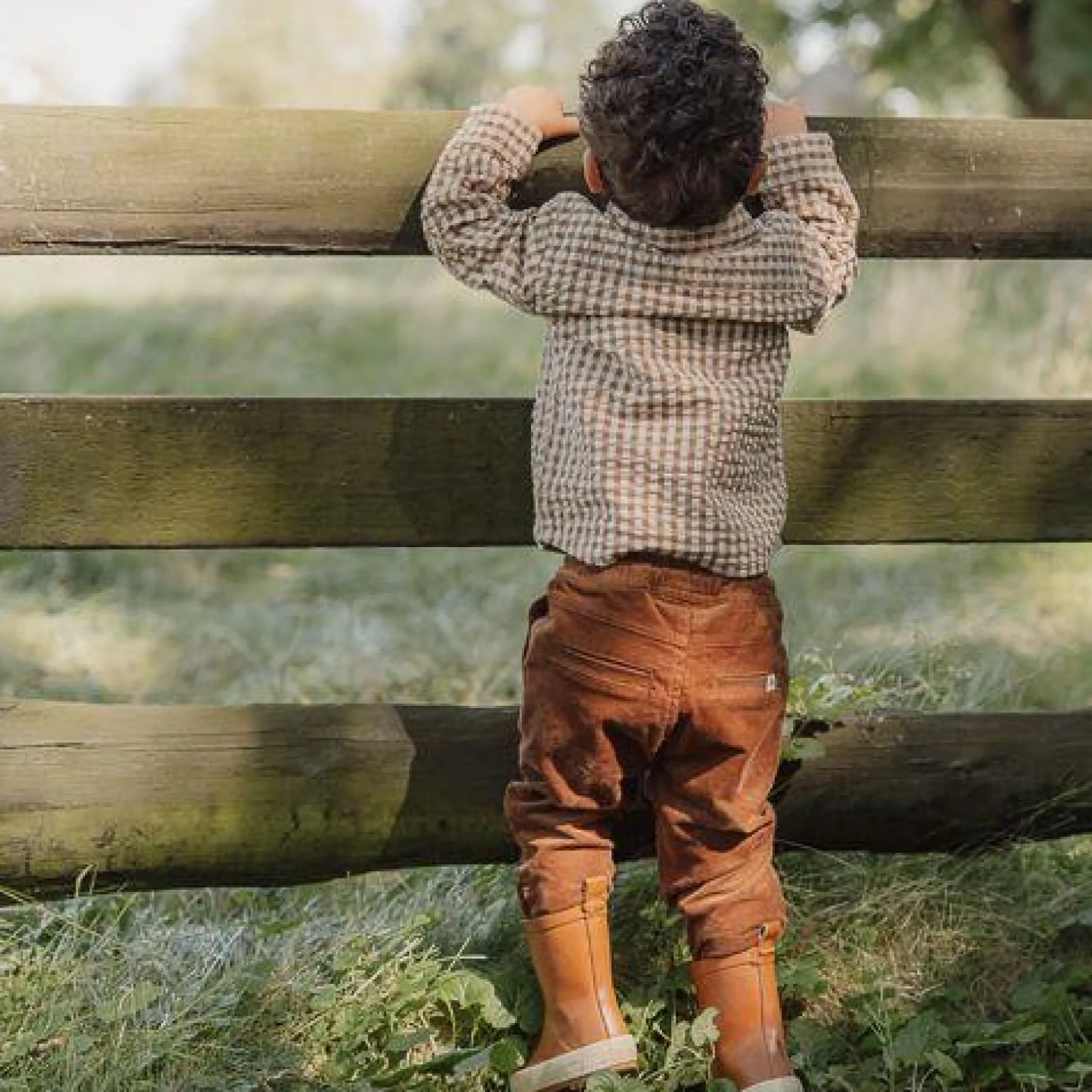 Ribbed Pants - Brown - Little Farm