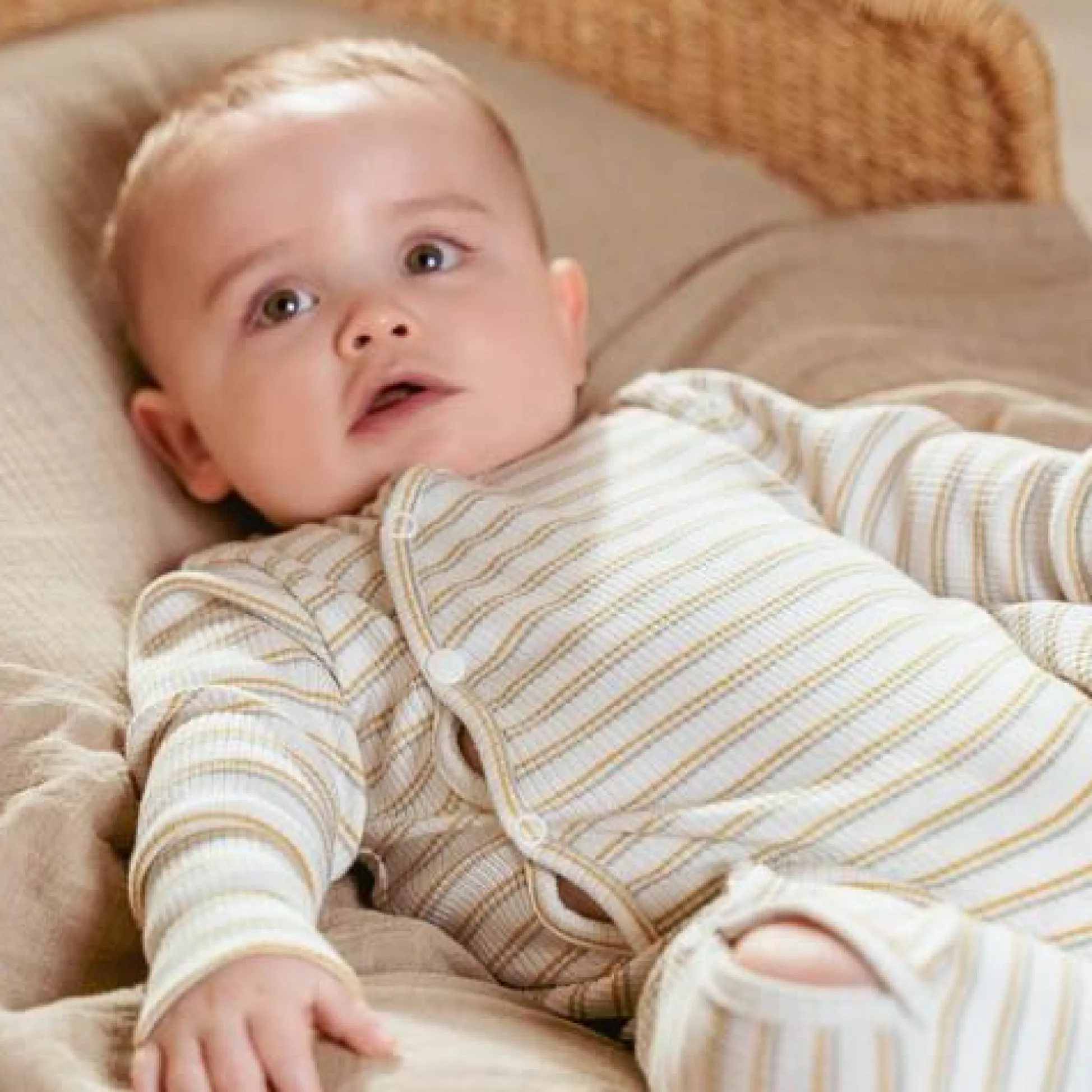 Romper - Multicolored - Little Farm - Stripe