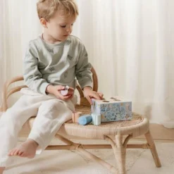 Shape sorter - Blue - Forest Friends