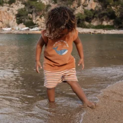 Shirt and shorts set - Brown