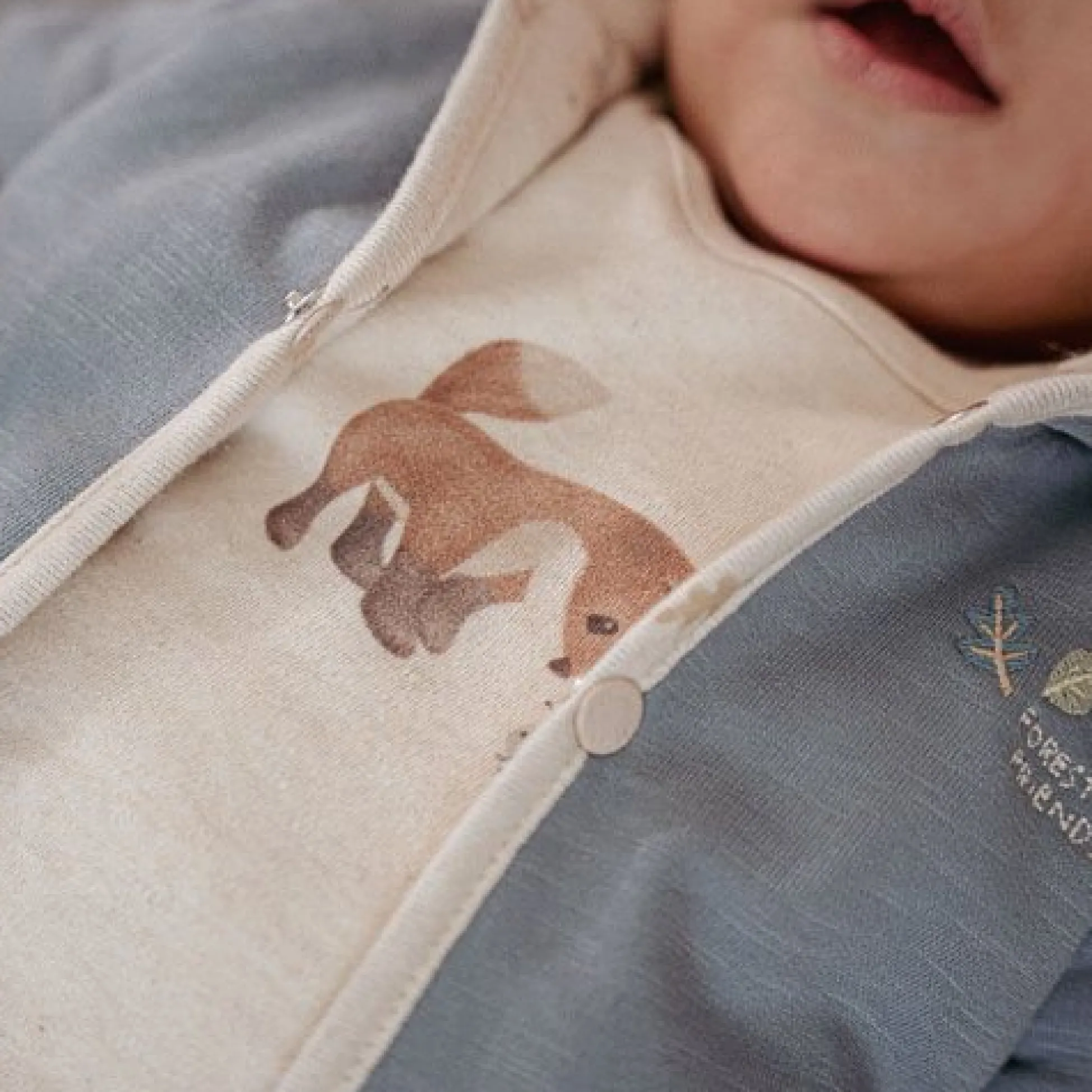 Shirt long sleeve - Sand - Forest Friends - Little Fox