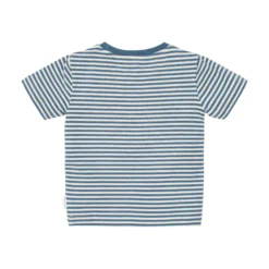 Shirt short sleeve - Blue - Indigo Sand Stripe