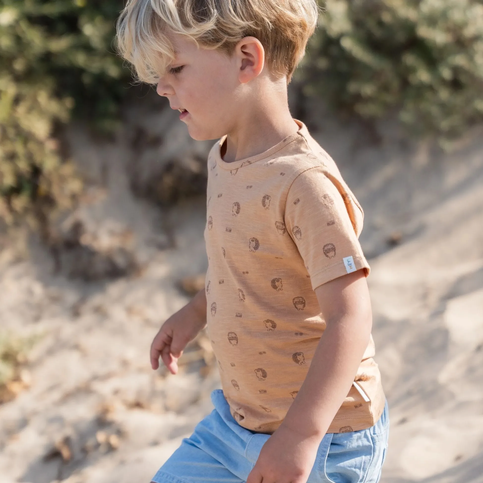 Shirt short sleeve - Brown
