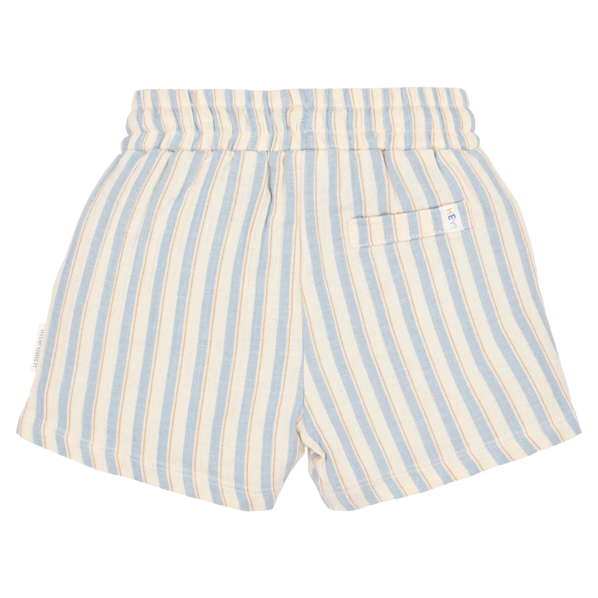 Shorts - Multi Stripe
