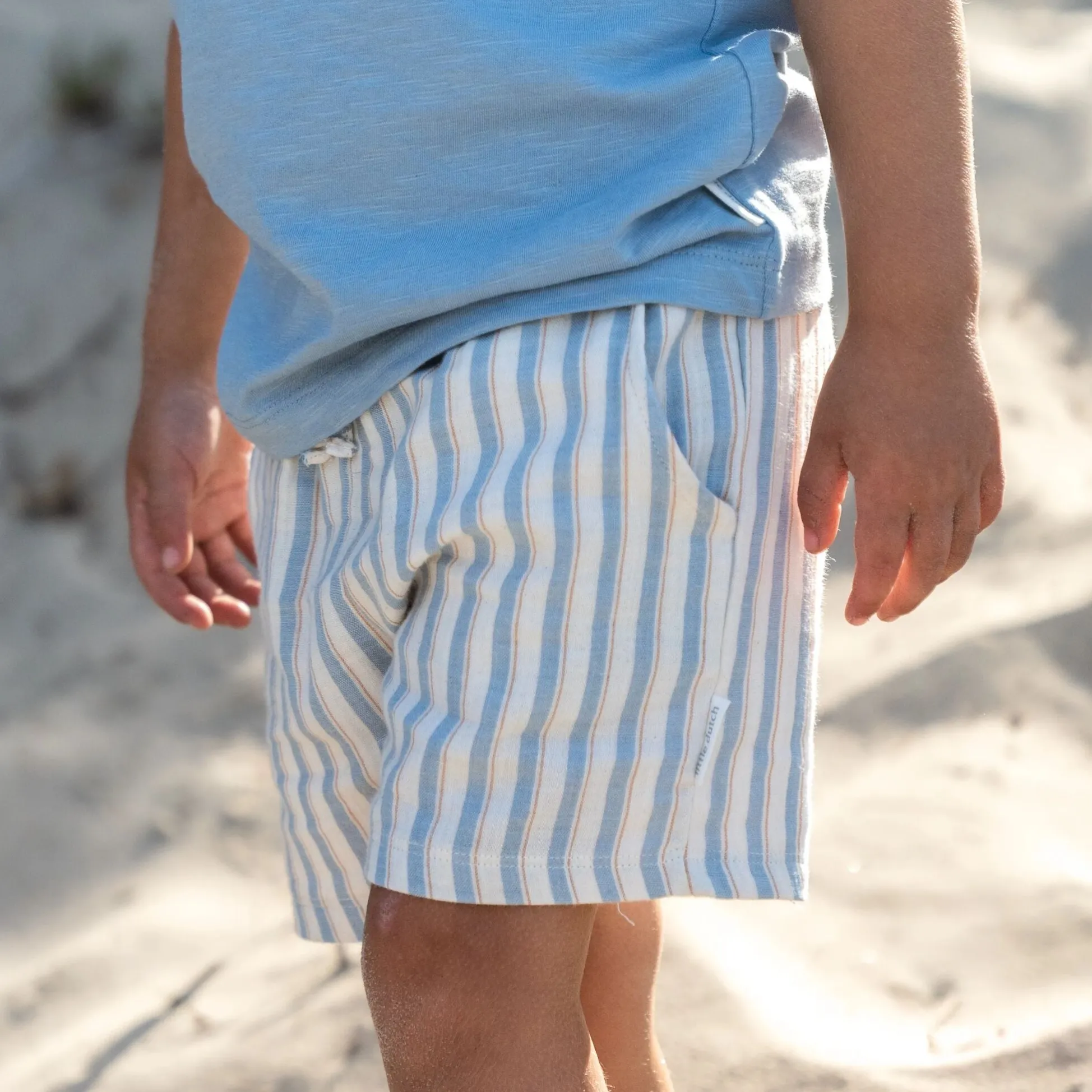 Shorts - Multi Stripe