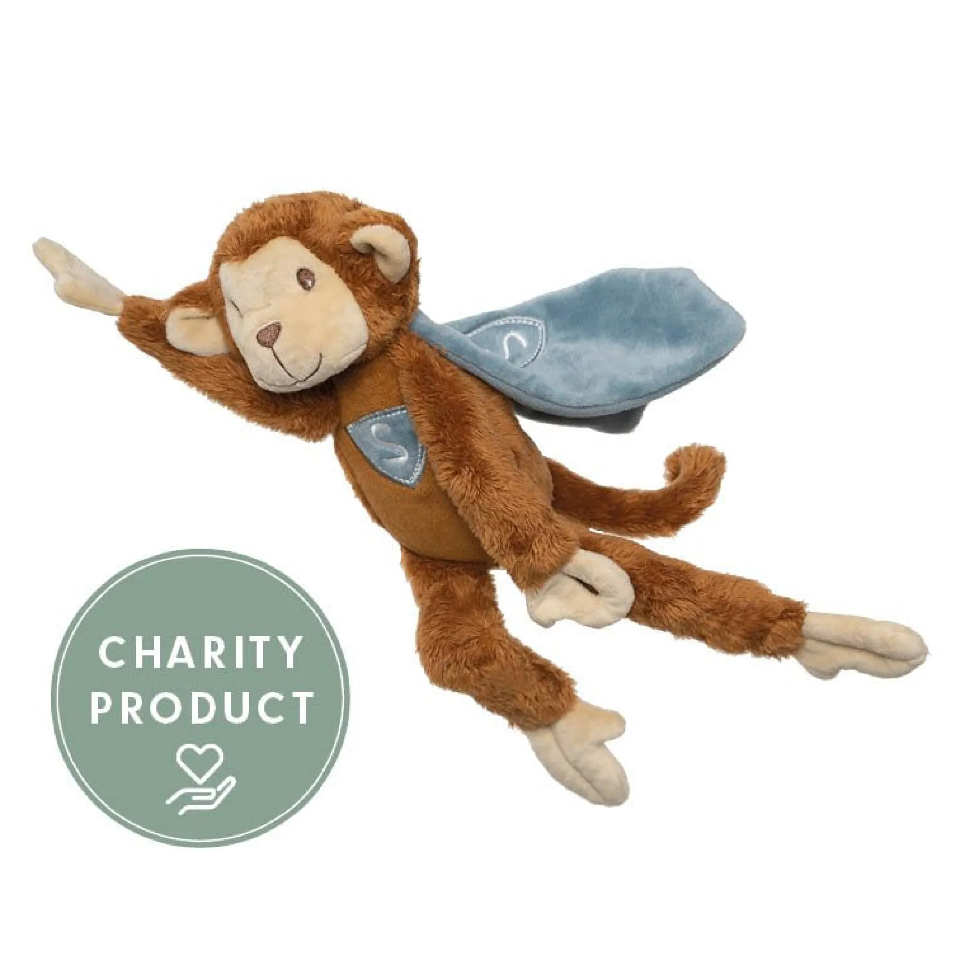 Sophia's Super Monkey