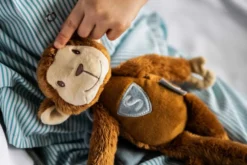 Sophia's Super Monkey