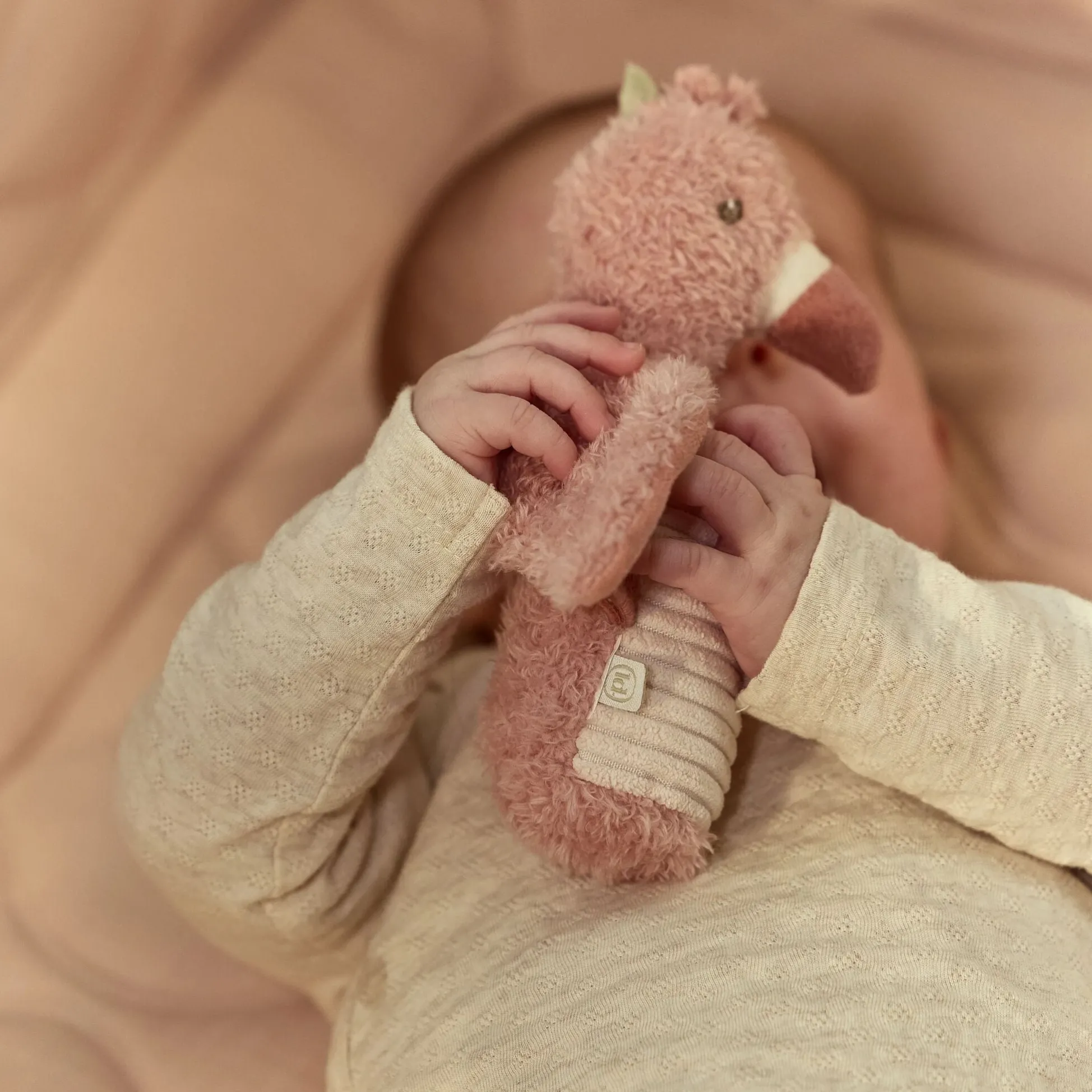 Squeeze rattle Flamingo - Pink