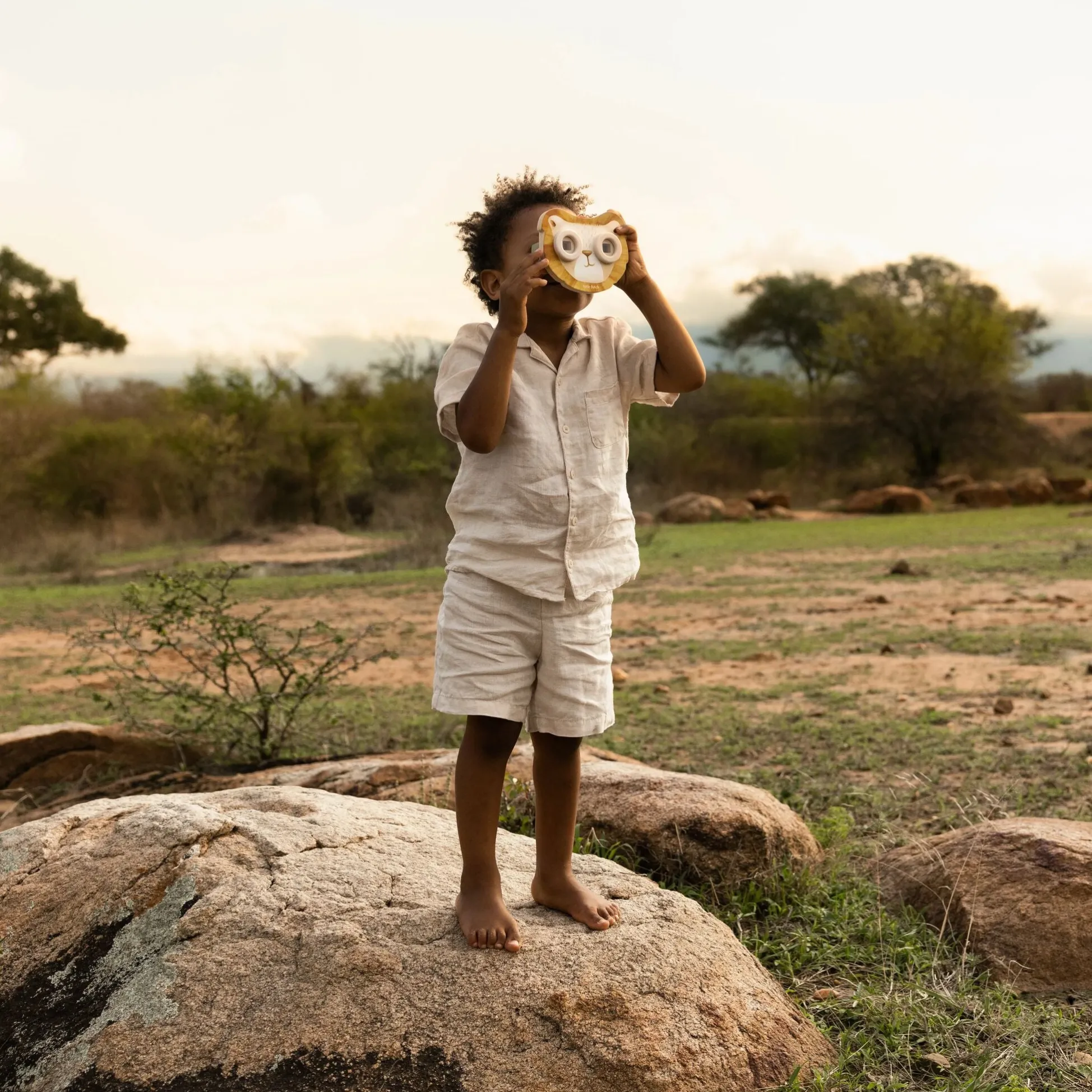 Story Viewer Lion - Beige