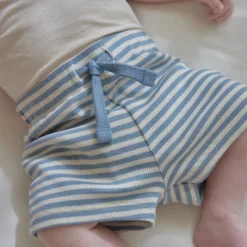 Striped shorts - Blue