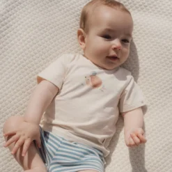 Striped shorts - Blue