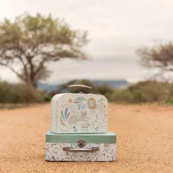 Suitcase set - Green