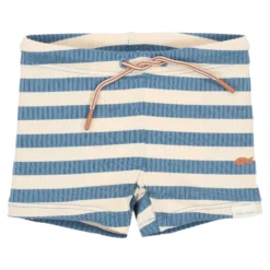 Swim Shorts - Blue - Ocean Blue Stripes