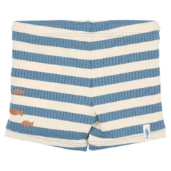 Swim Shorts - Blue - Ocean Blue Stripes