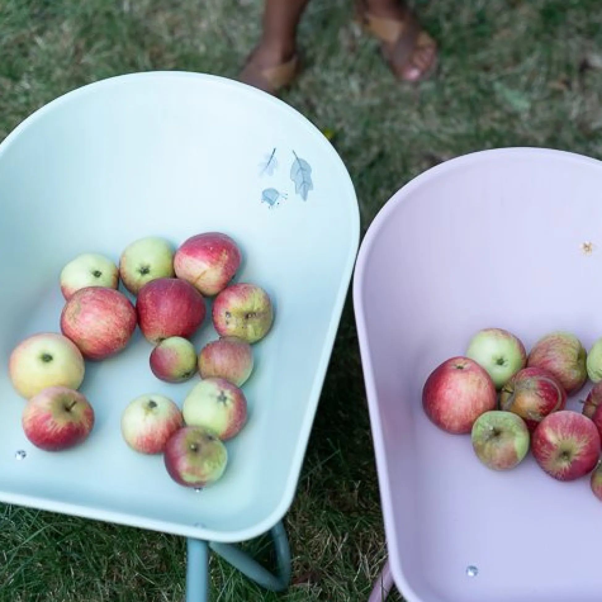 Wheelbarrow - Green - Forest Friends