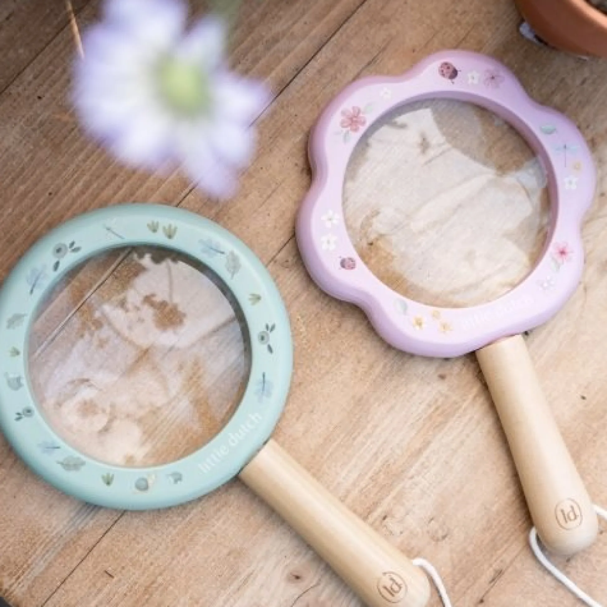 Wooden Magnifying Glass - Blue - Forest Friends
