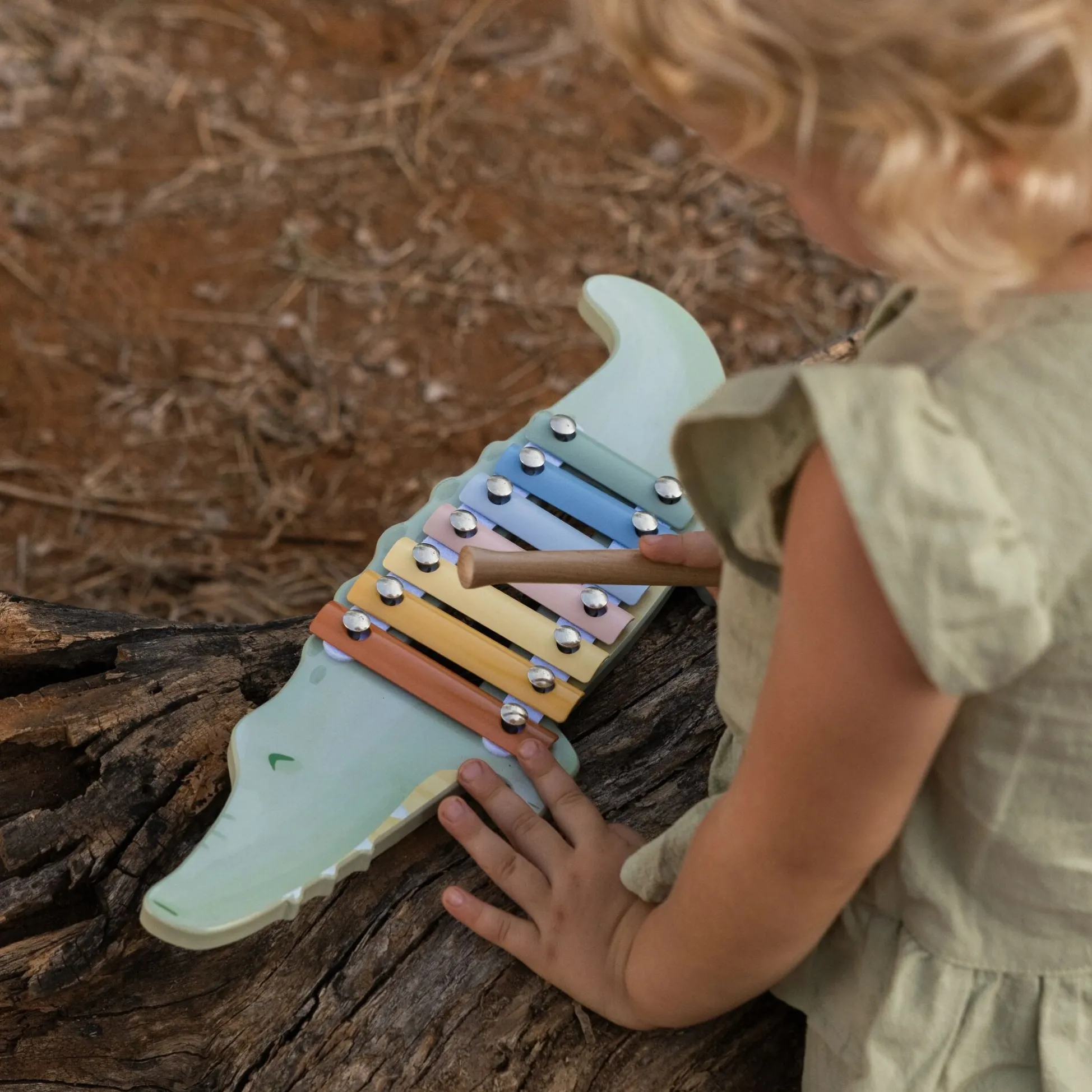 Xylophone - Crocodile - Safari Friends