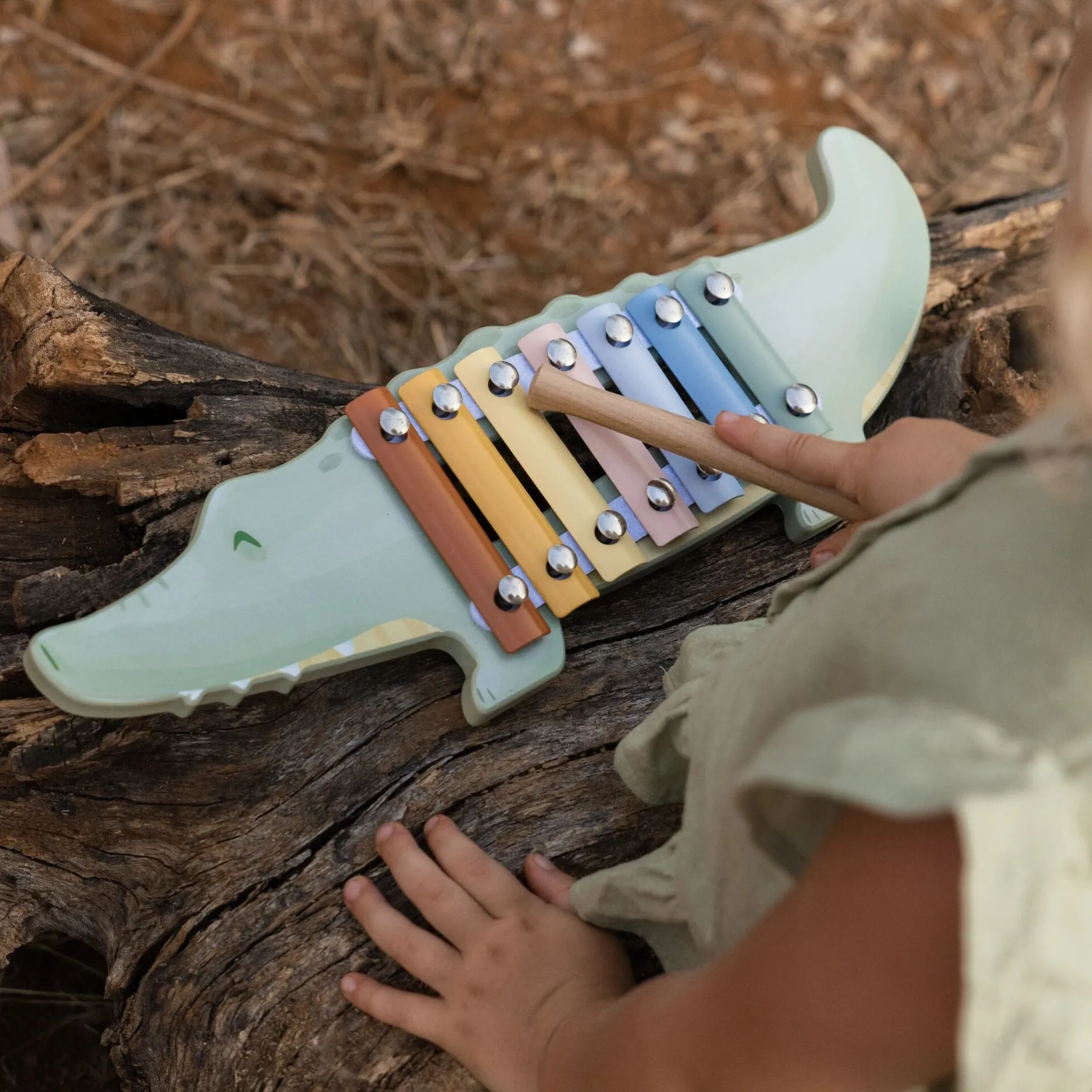 Xylophone - Crocodile - Safari Friends